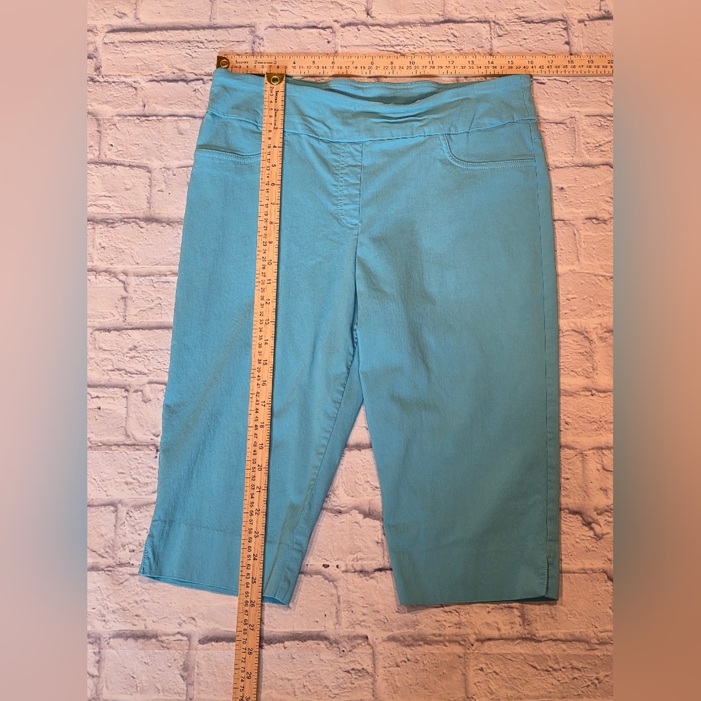 Ruby Rd. Blue Capris - Picture 5 of 5